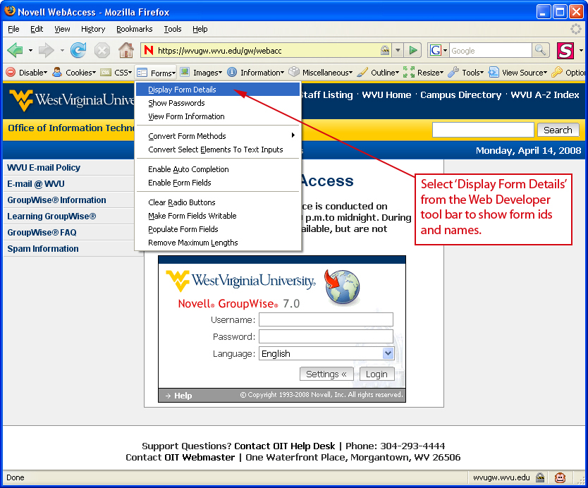 Novell-Web Developer