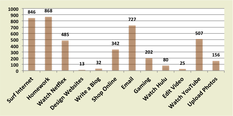 Shows some of the activities the participants use a computer to complete