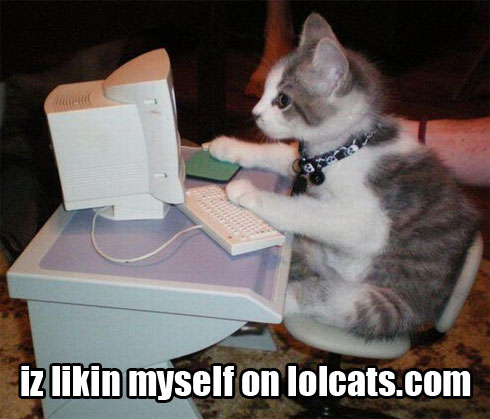LOL Cat Meme
